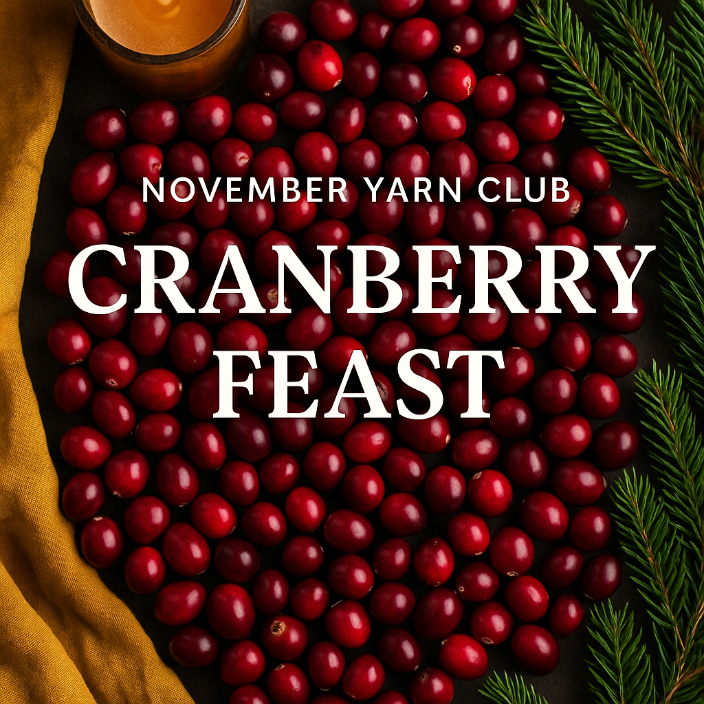 Sassy Yarn Club Subscription Box (November)