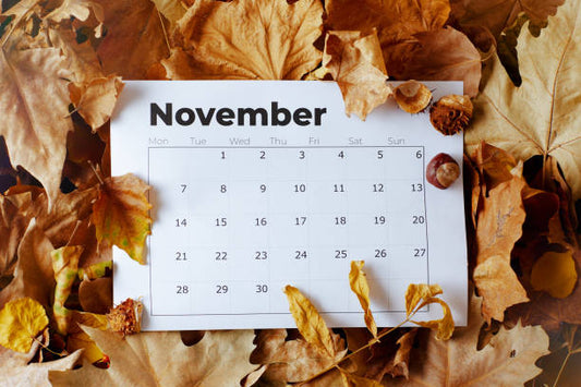 November Happenings at Sassy Black Yarns